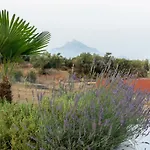 Afisia * סארטי